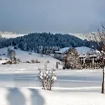 מלון Steinhausers Hochbuhl 3*