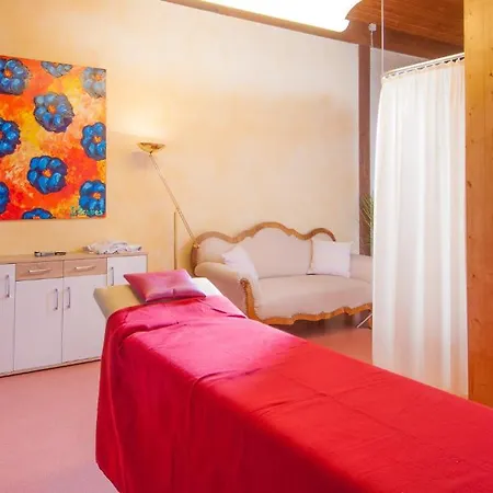 Steinhausers Hochbuhl Hotel 3*