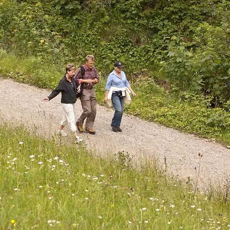 Steinhausers Hochbuhl Oberstaufen