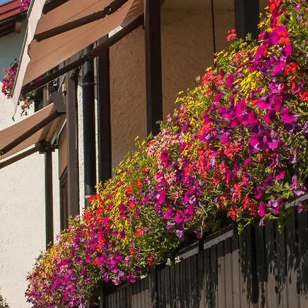 Steinhausers Hochbuhl Hotel Oberstaufen